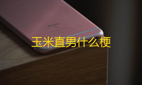 英雄联盟科技卡盟科技站玉米直男什么梗